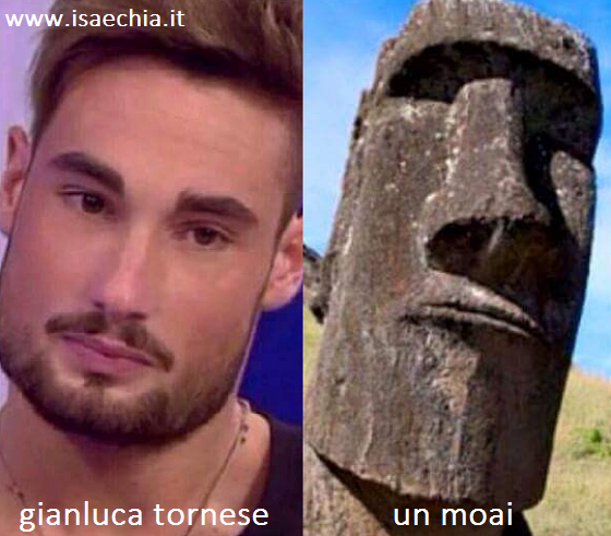Somiglianza tra <b>Gianluca Tornese</b> e un Moai - Somiglianza-tra-Gianluca-Tornese-e-un-Moai