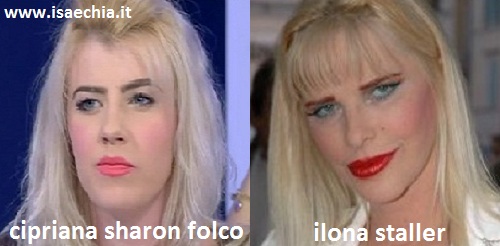 Somiglianza tra Cipriana Sharon Folco e Ilona Staller