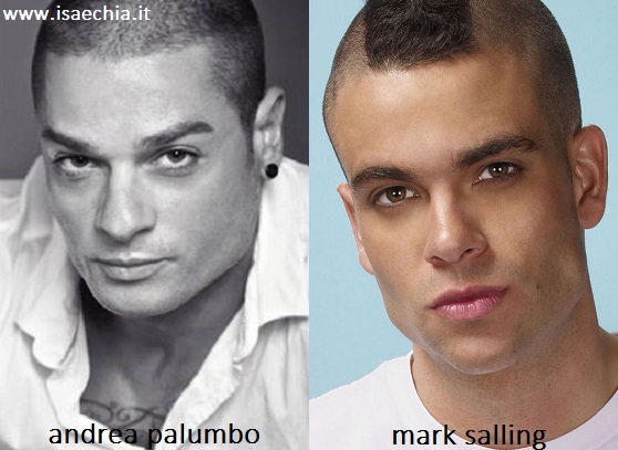 Somiglianza tra Andrea Palumbo e Mark Salling