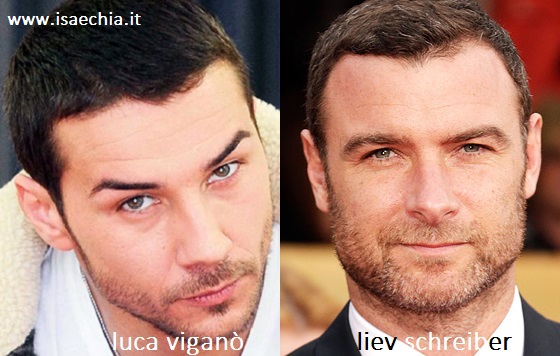 Somiglianza tra Luca Viganò e Liev Schreiber