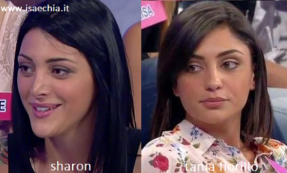 Somiglianza tra Sharon e Tania Fiorillo