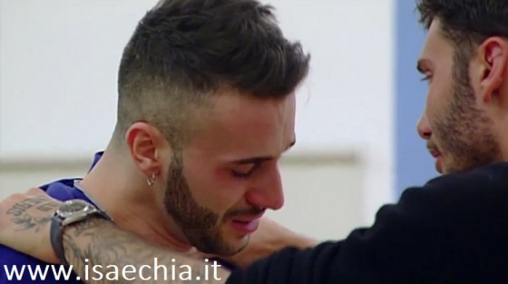 Amici 15