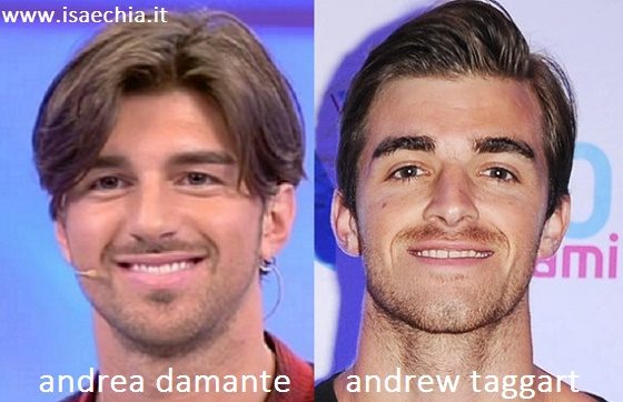 Somiglianza tra Andrea Damante e Andrew Taggart