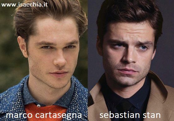 Somiglianza tra Marco Cartasegna e Sebastian Stan