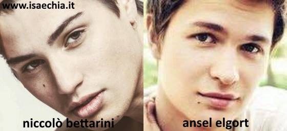 Somiglianza tra Niccolò Bettarini e Ansel Elgort