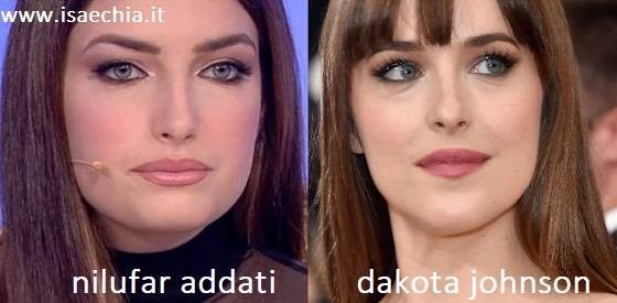 Somiglianza tra Nilufar Addati e Dakota Johnson