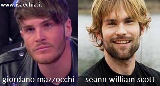 Somiglianza tra Giordano Mazzocchi e Seann William Scott