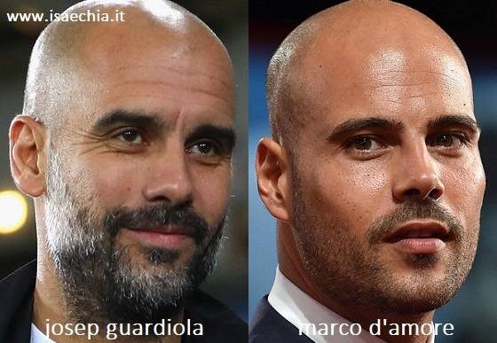 Somiglianza tra Josep Guardiola e Marco D'Amore