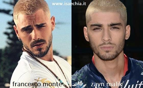 Somiglianza tra Francesco Monte e Zayn Malik