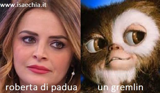 Somiglianza tra Roberta Di Padua e un Gremlin