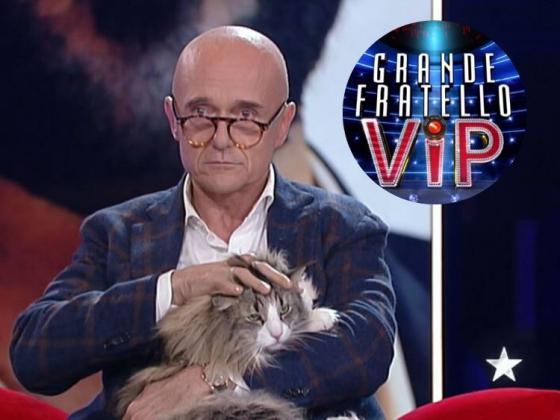 Grande Fratello Vip - Alfonso Signorini