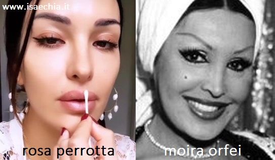 Somiglianza tra Rosa Perrotta e Moira Orfei