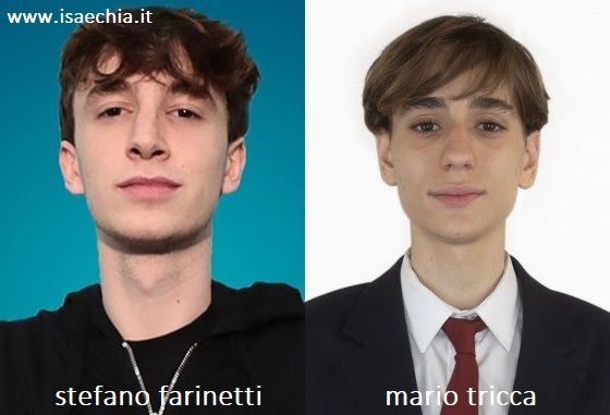 Somiglianza tra Stefano Farinetti di 'Amici 19' e Mario Tricca de 'Il Collegio 4'