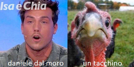 Somiglianza tra Daniele Dal Moro e un tacchino