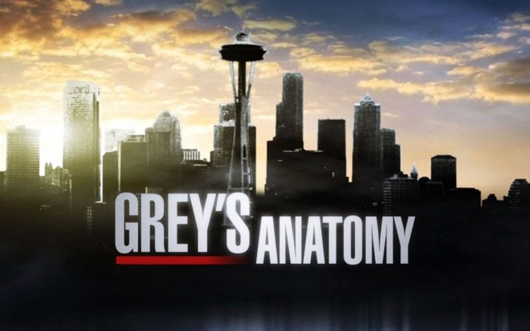 Grey’s Anatomy 21, una famosa attrice di una nota serie tv entra nel cast con un ruolo ricorrente