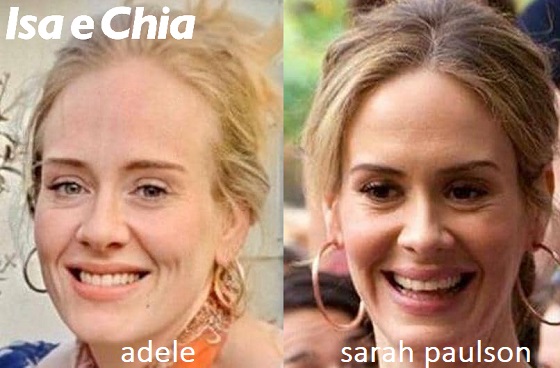 Somiglianza tra Adele e Sarah Paulson