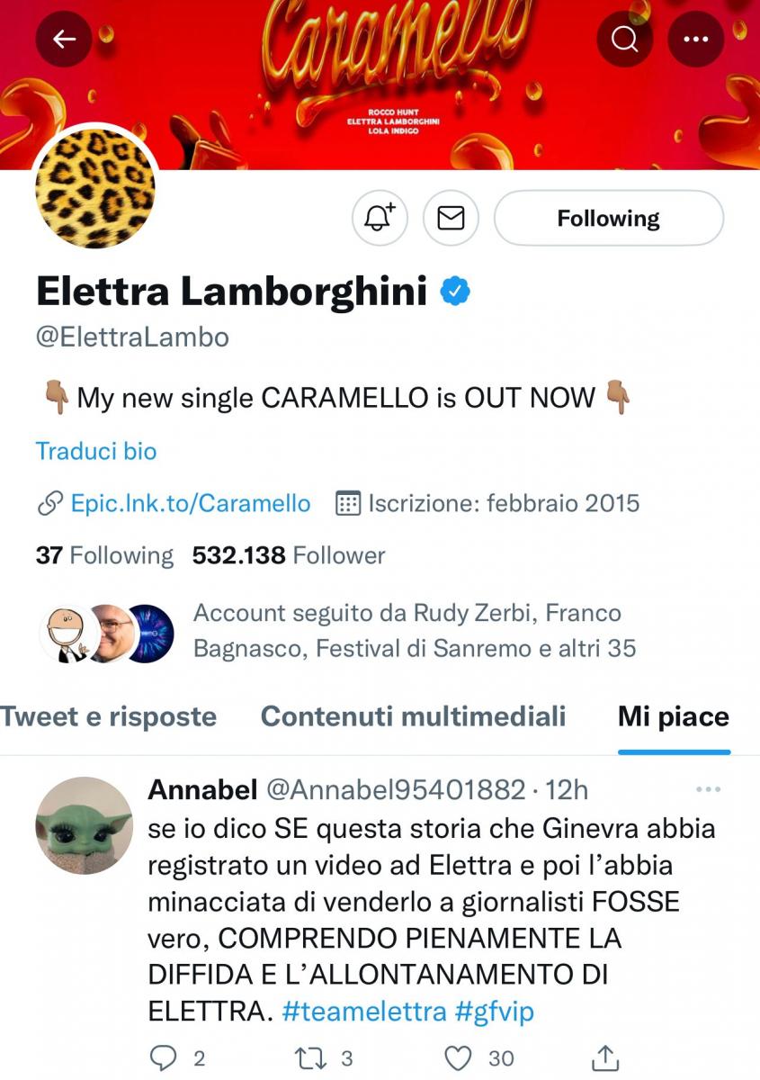 Gf Vip 7, Elettra Lamborghini mette un altro eloquente like sui social